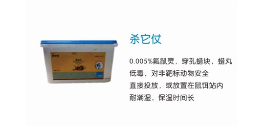 如果家中發現老鼠，又該如何滅鼠呢?